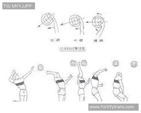 杭州排球队进攻策略全解析揭秘排球深度与战术运用 杭州排球队进攻策略全解析揭秘排球深度与战术运用