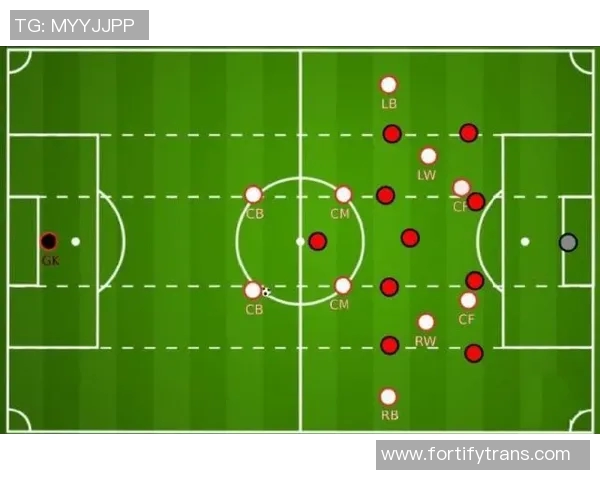 武汉排球队意识对比深度剖析与战术演变的独特视角
