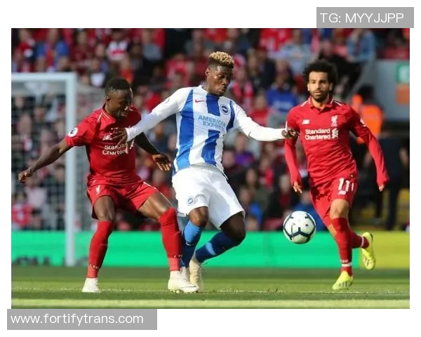 布莱顿与利物浦对决前瞻分析及赛果预测详解