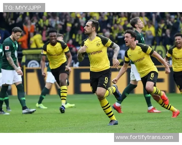 比勒费尔德迎战多特蒙德期待精彩对决双方球员状态成关键因素