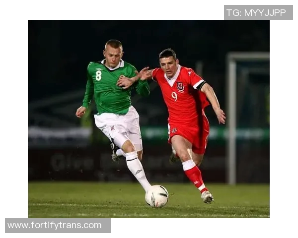 爱尔兰与威尔士足球对决深度分析及战术解析