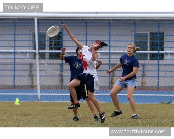 飞盘竞技的魅力与挑战：深入探讨广州飞盘队的战术布局与团队协作