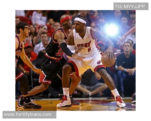 0809赛季热火与公牛的激烈对决回顾与精彩瞬间分析