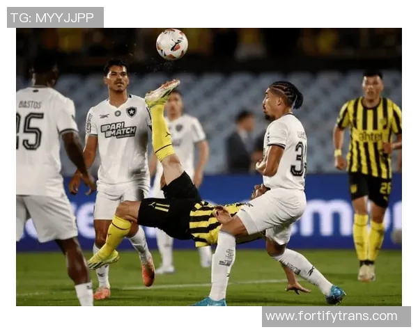 克鲁塞罗对阵直播赛事分析与精彩瞬间回顾